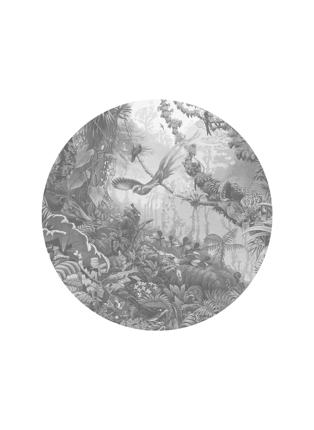 Wandbild Tropical Landscapes 2 Circle - S - 1.425m