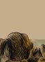 6893_12_Elitis_Hors_Saison_DM_901_01_L12-105082