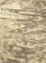 9281_1_Coordonne_Sand-Waves-Metallics_Gold_A00105-79953