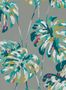 3861_3_harlequin_kelapa_111752-30831