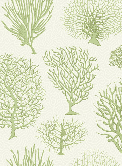 Tapete Seafern - Soft Green