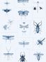 3416_3_mindthegap_entomology_wp20235-29462