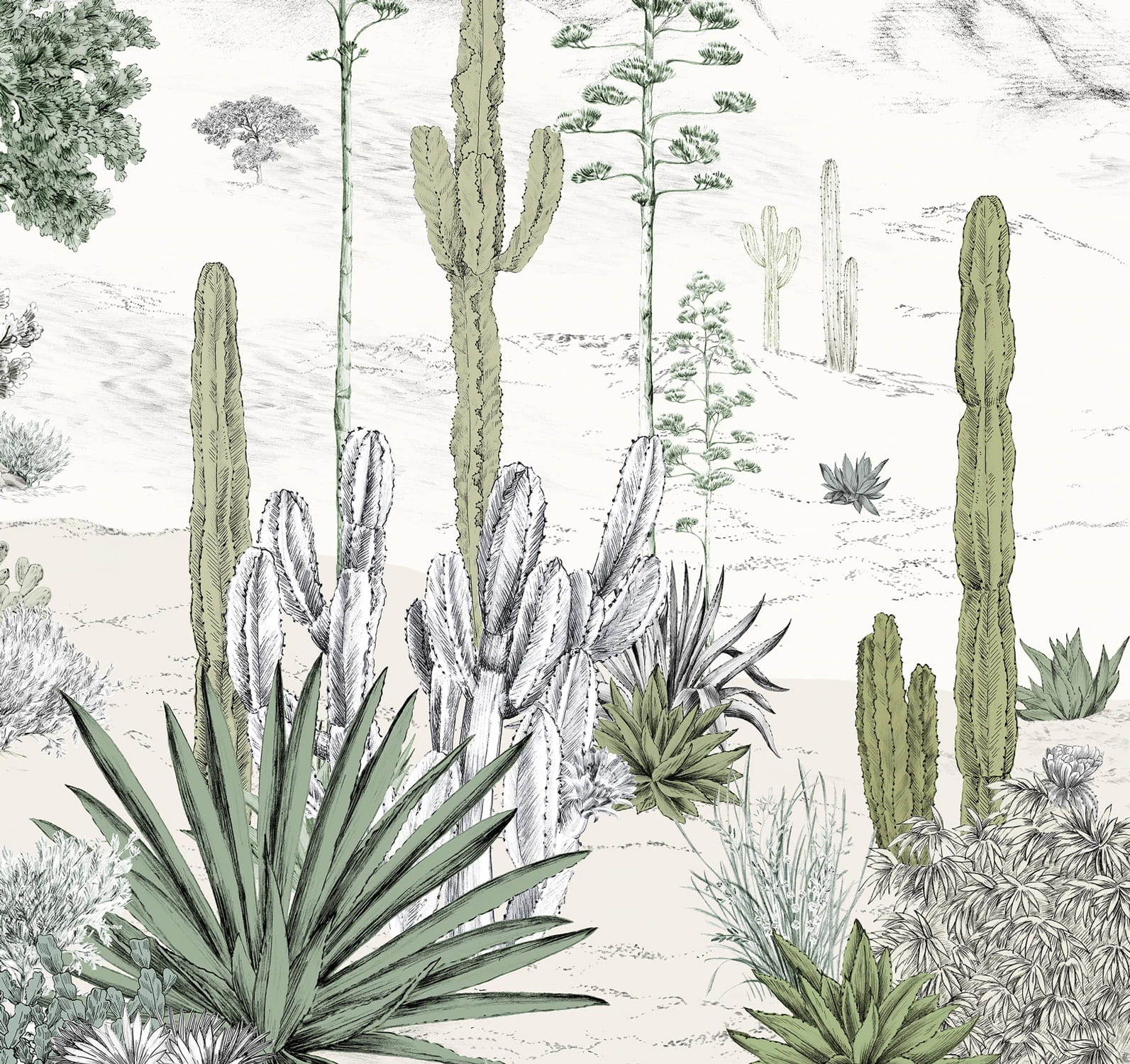 Wandbild Succulentes Naturel - Panel A