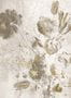 16493_10_KEK_Amsterdam_Fresco_Flowers_Uyterlinde_FU-060_-168605