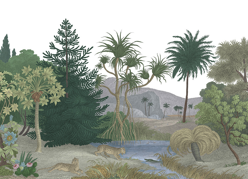 Wandbild Jungle Land - Color A