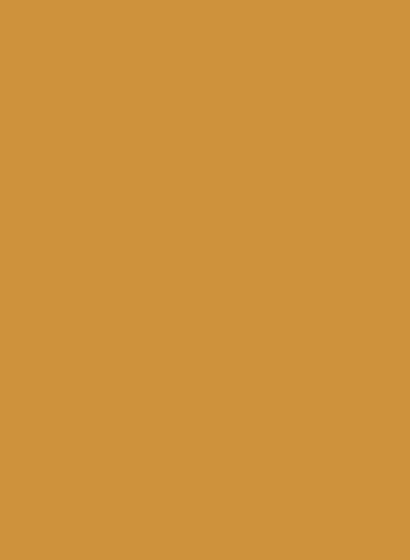 Estate Emulsion - India Yellow 66 - 2,5l