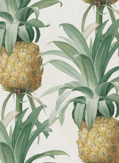 Papier peint Ananas