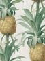 3211_1_mindthegap_ananas_wp20090-28707