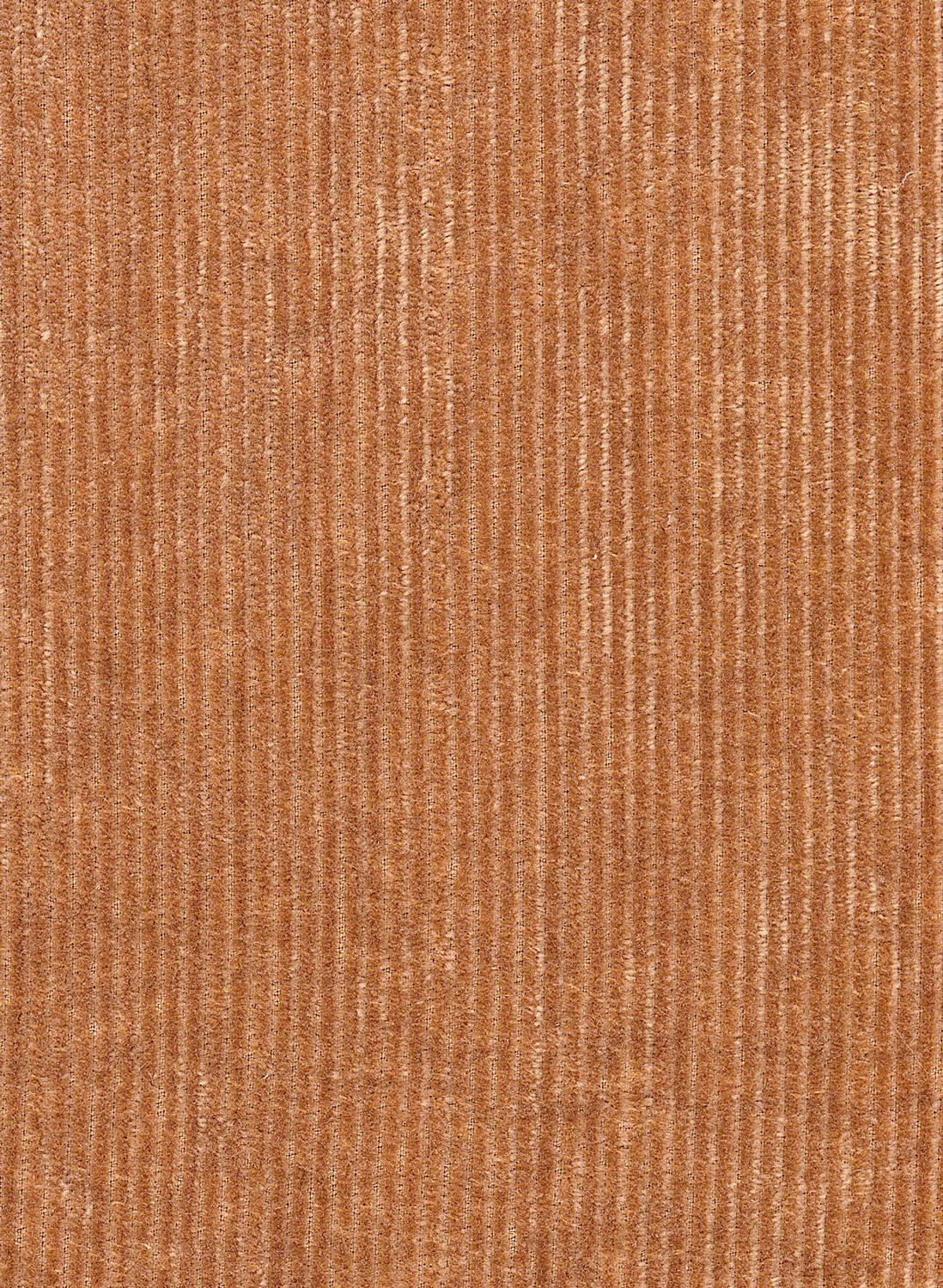 Tapete Tinneroy - 29501