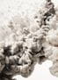 3650_2_rebel_walls_frozen_moment_r15452-30225