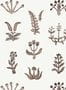 14628_4_Josephine_Munsey_Floral_Spot_FLO_012_023_042-127180