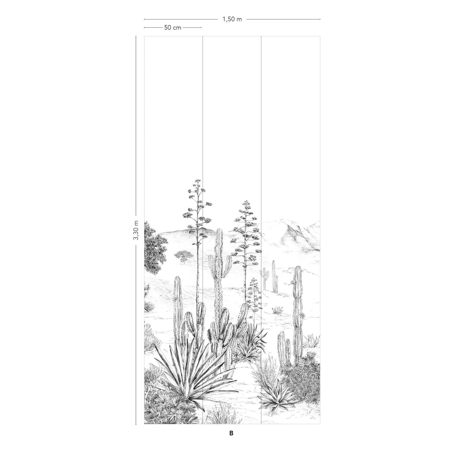 Wandbild Succulentes Grisaille - Panel B