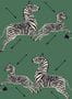 17059_02_Jannelli_&_Volpi_Zebras_26001-141799
