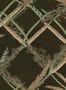 14968_03_Mindthegap_Ornamental_Reed_WP30163-139805