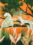18144_03_Tres_Tintas_Onça_M5301-3-179592