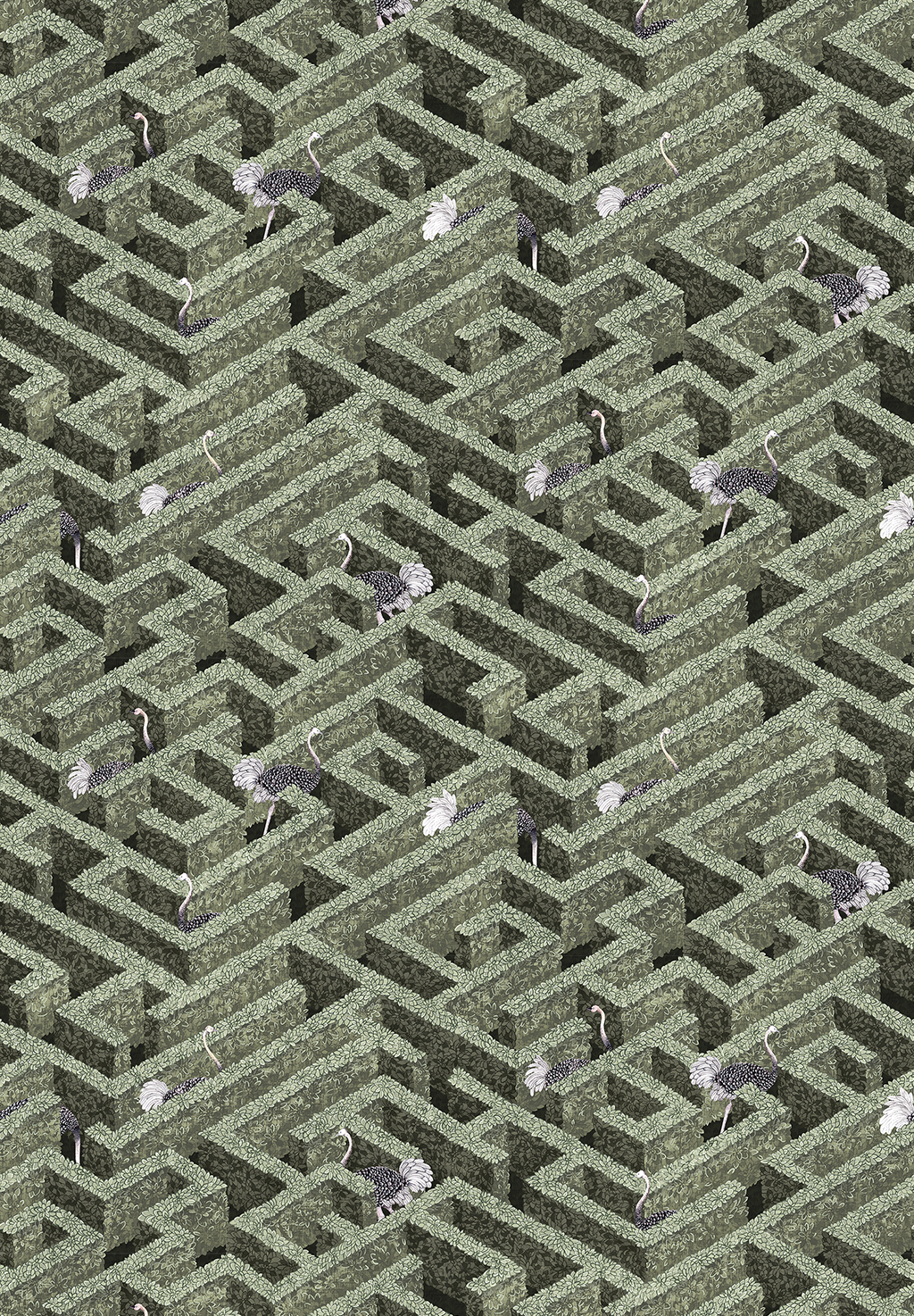 Tapete Labyrinth with Ostrich - Eucalyptus
