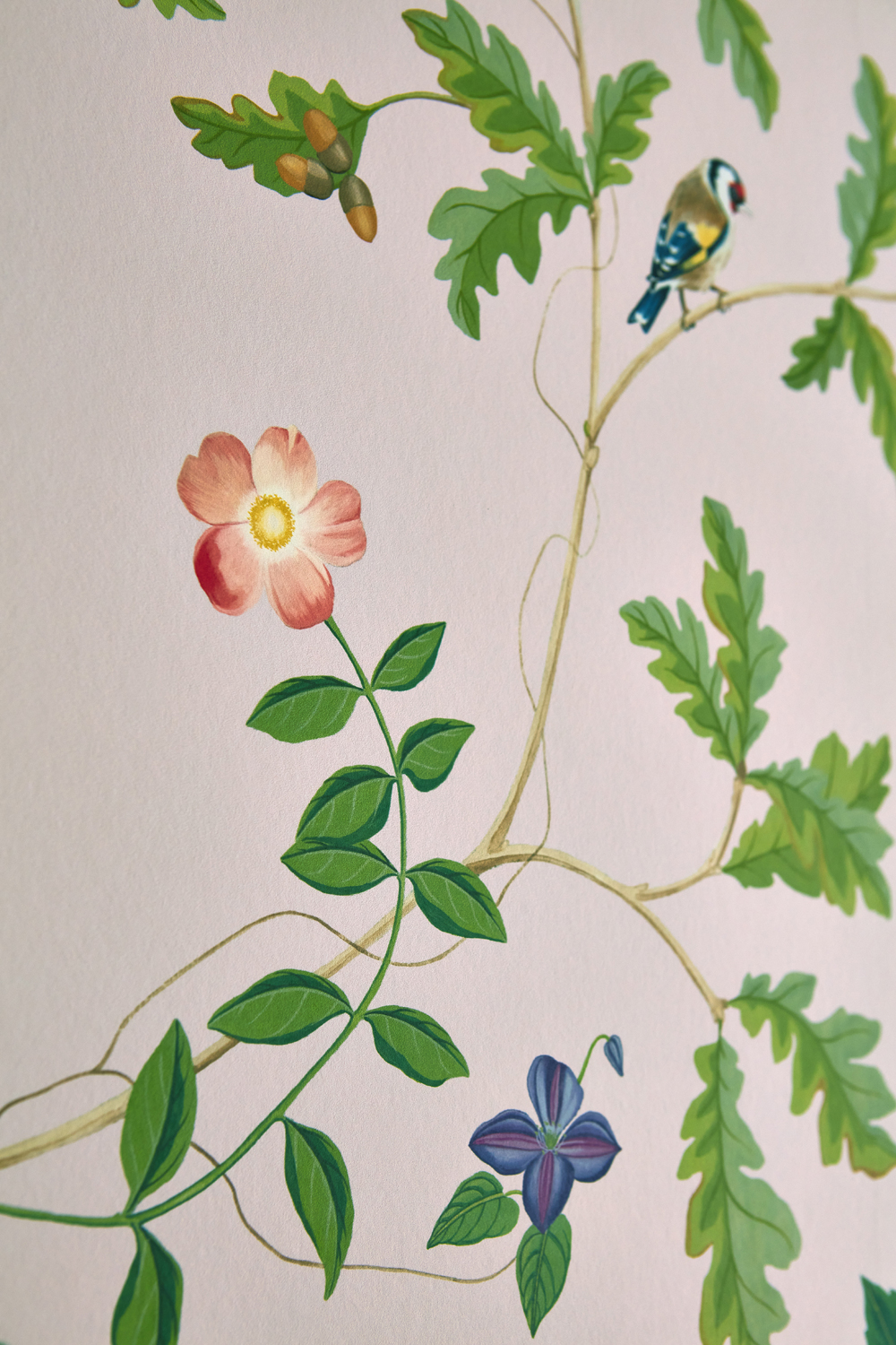 Wandbild Sycamore and Oak - Wild Rose