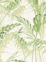 5176_2_sanderson_palm-house_216643-54567