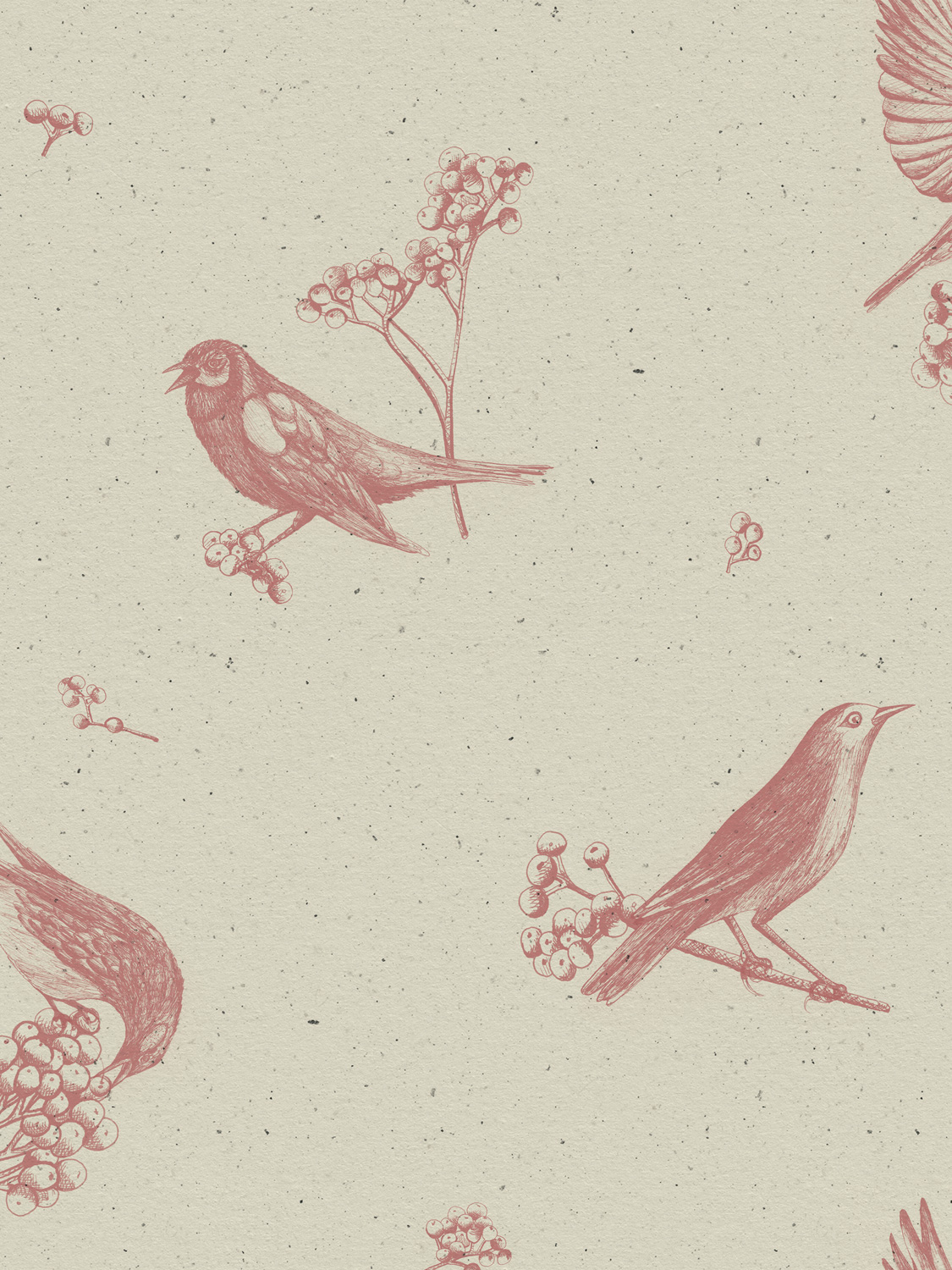 Tapete Sweet Birds - Papirus
