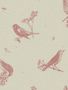 8507_1_Coordonne_Tapete_Sweet_Birds_9500070-70168