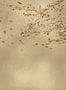 8561_1_Coordonne_Wandbild_Eolia_9600040-70223