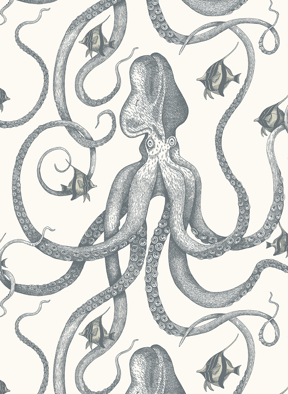 Tapete Octopoda Grand - Hilles White