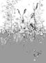4478_1_edmont_petit_lievres_rm100-02_gris-53905