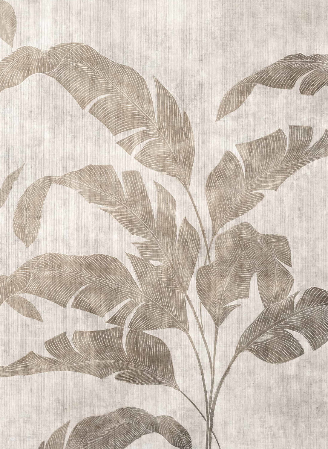 Wandbild Leaves Shadow - Stone