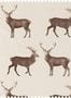 50017_1_XL3_Sanderson_Evesham_Deer_Fabric_226528-135897