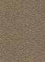 3037_1_cole_and_son_senzo_spot_109_6028-27936