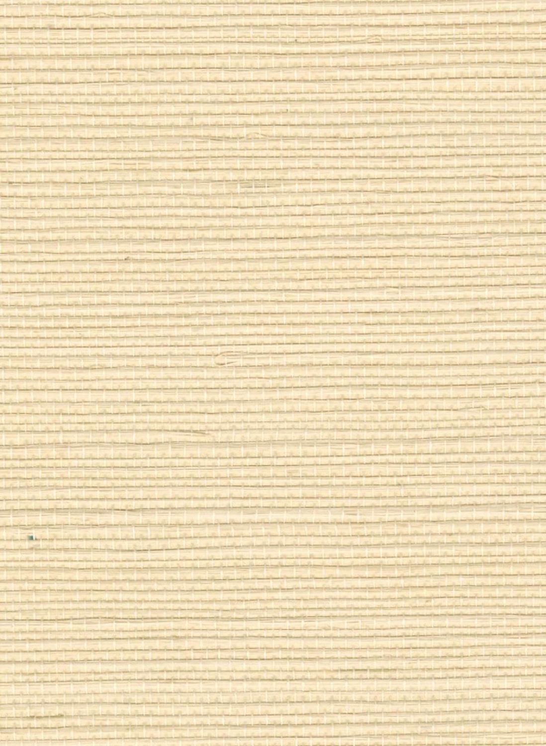 Tapete Sisal - RM 1069 02