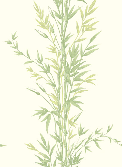 Tapete Bamboo - green