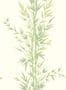 1879_2_cole_and_son_archive_anthology_bamboo-23350