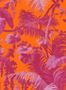 2608_4_house_of_hackney_pampas_H2304-3-70405