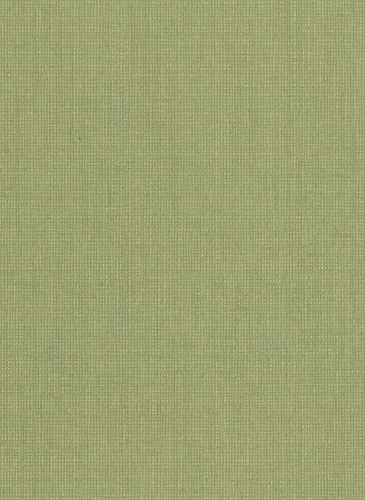 Tapete Canvas - 10161
