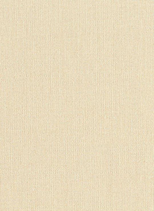 Tapete Plain Mini Chevron - 10035