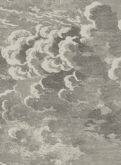 Tapete Nuvolette - Gilver/ Charcoal