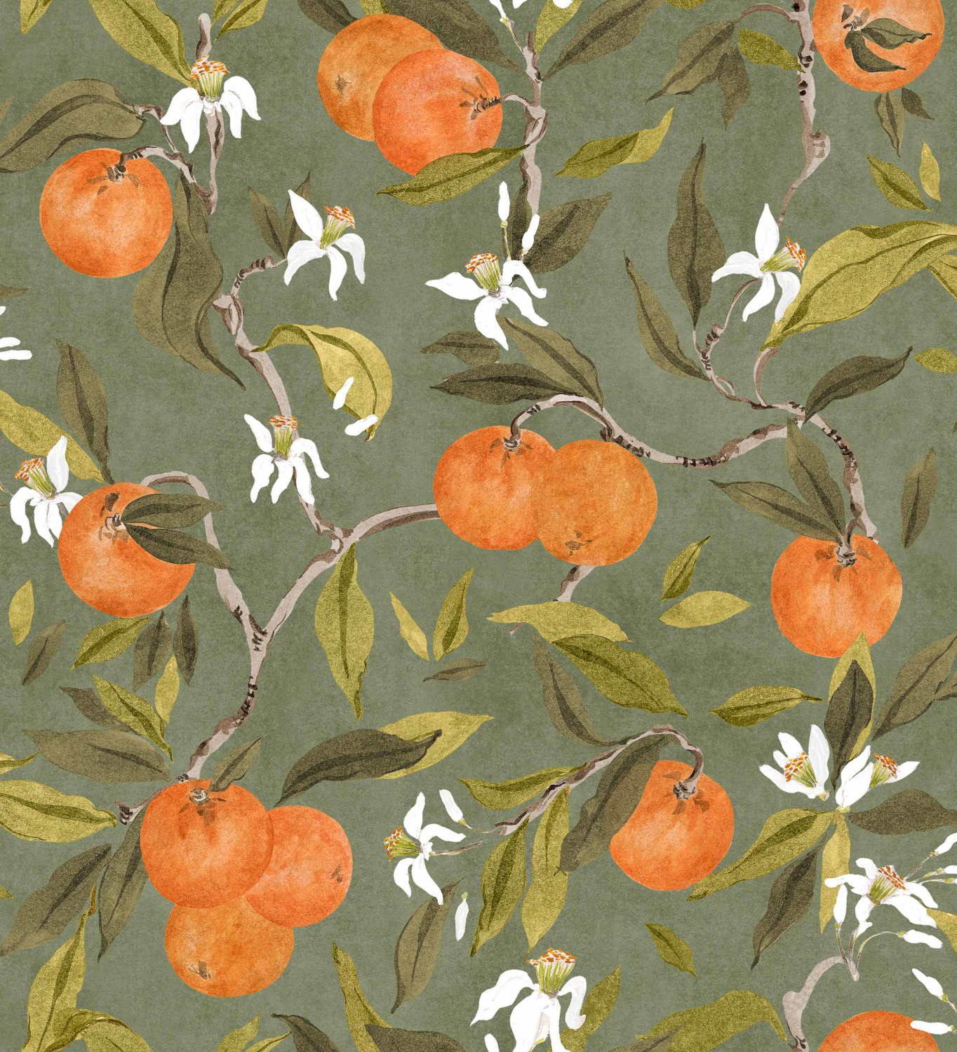 Tapete Naranjos - Celadon