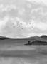 8353_4_Coordonne_Dungeness_View_A00934-113030