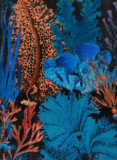 Tapete Coral Reef - Ultramarine