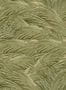 14970_02_Mindthegap_Triflora_WP30168-139830