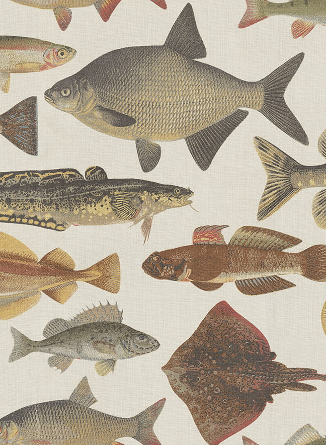 Wandbild Scandinavian Fishes - Beige