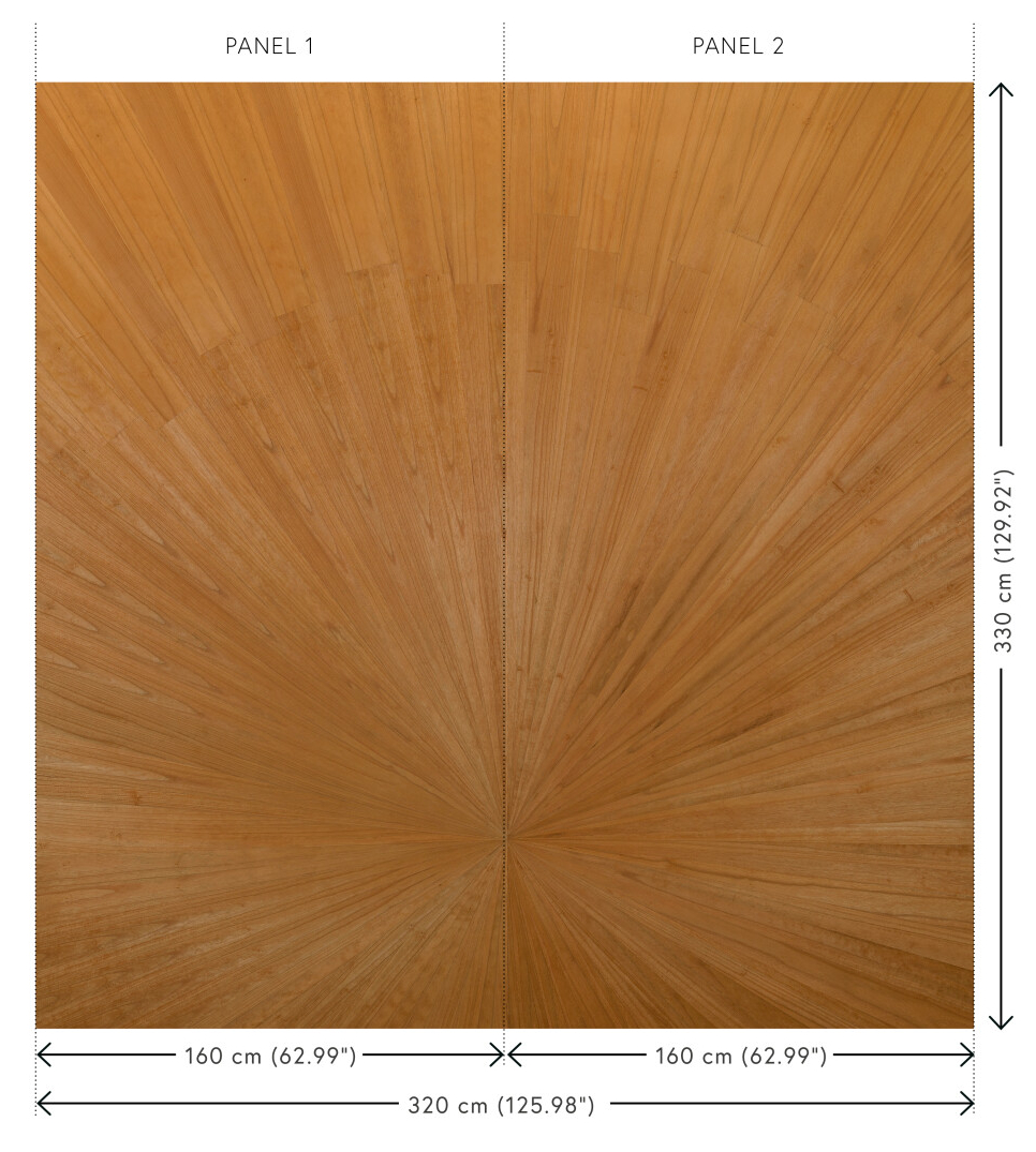 Wandbild Sunburst - Desert Sun