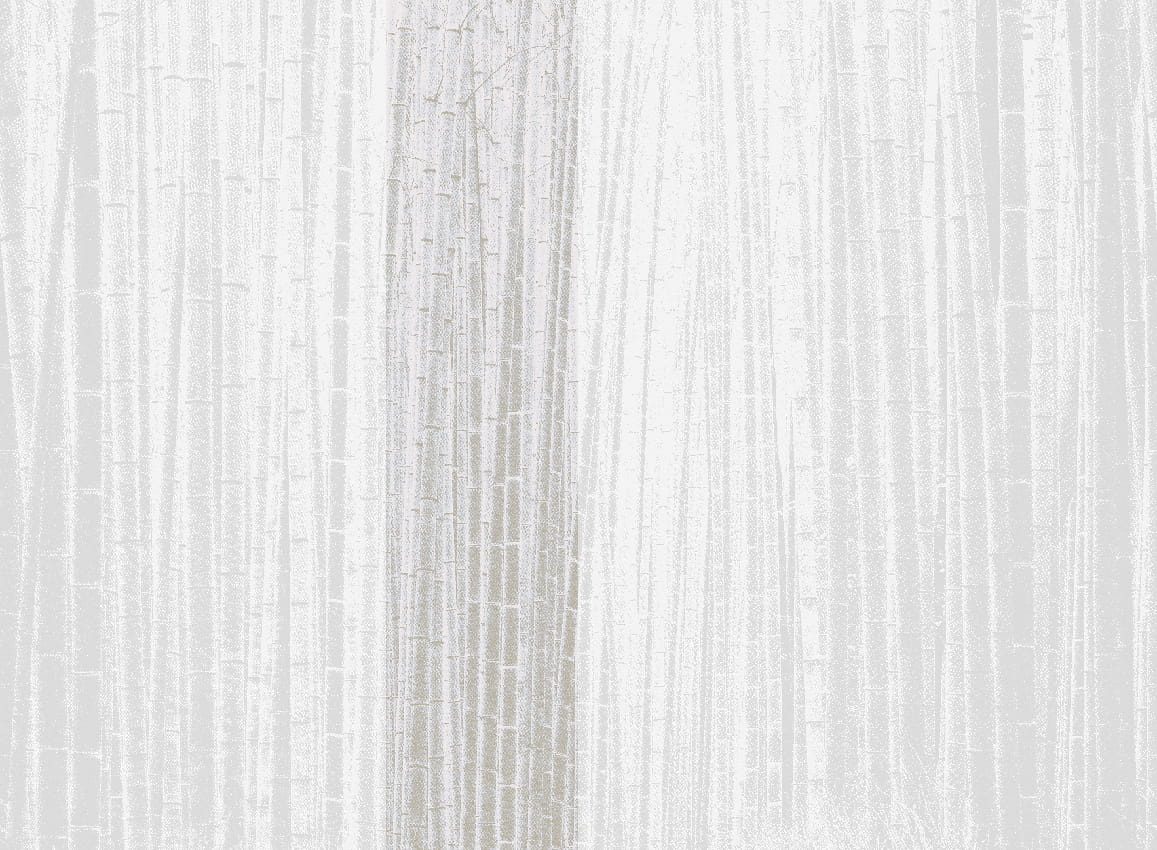 Wandbild Arashiyama - Neutral Panel 3
