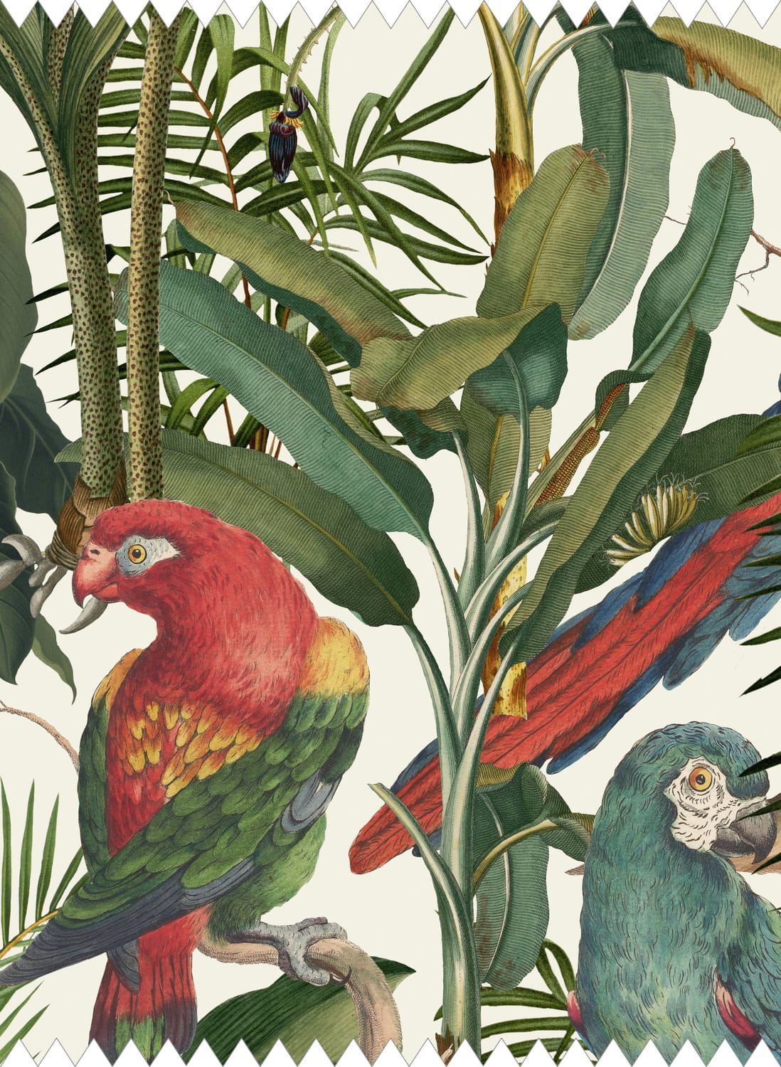 Fabric Parrots of Brasil - Linen