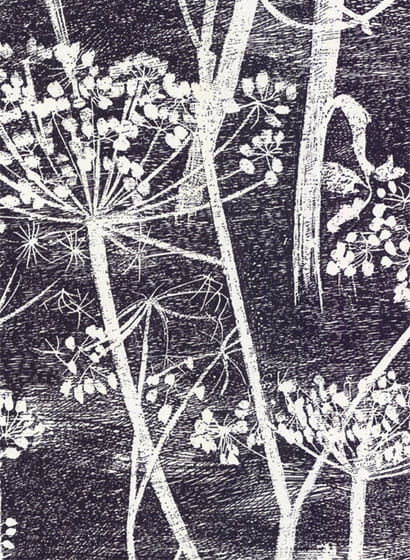 Tapete Cow Parsley - Soot & Snow