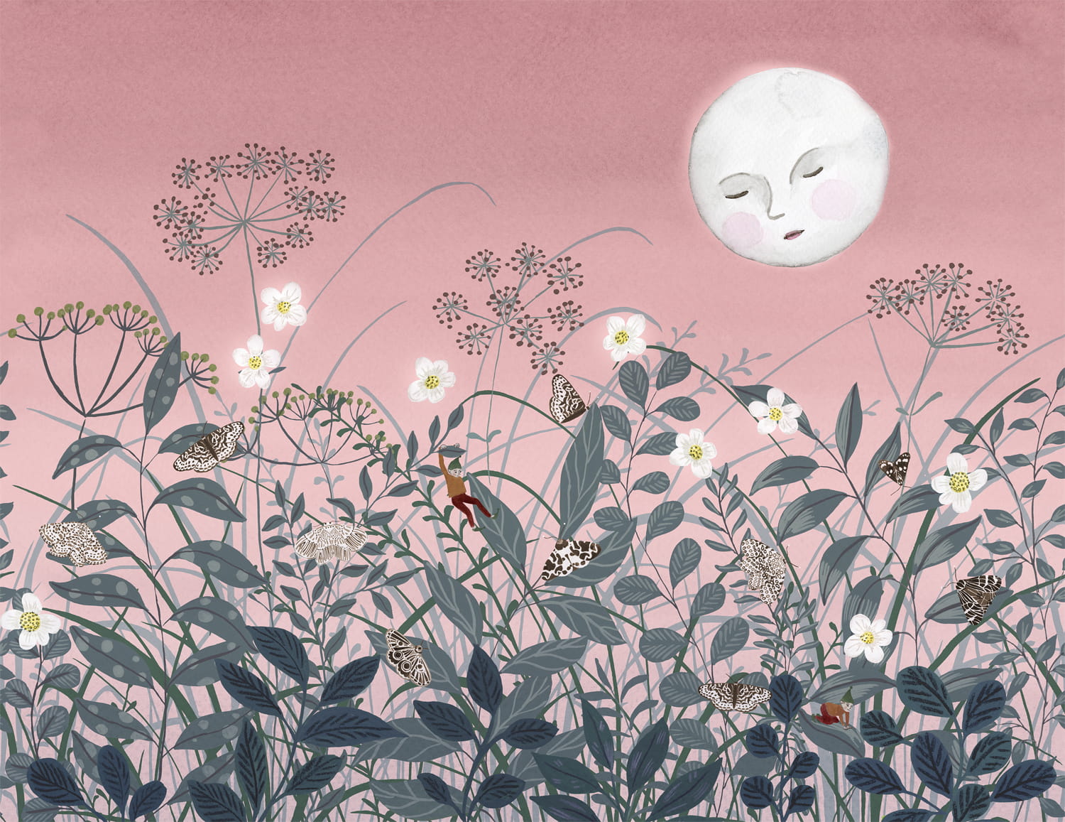 Wandbild Pixie - Dawn