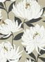 5243_1_harlequin_sebal_112130-54991