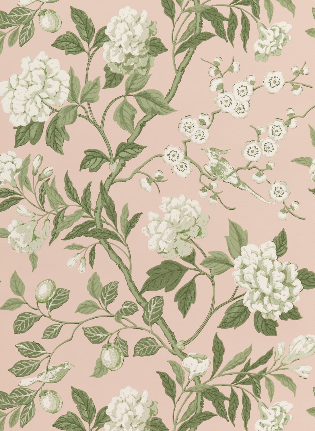 Tapete Emperor's Garden - Blush