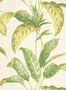7059_1_Paint_Paper_Lib_Botany_Tropicane_Chelsea_Green_II_0360TRCHELS-60660